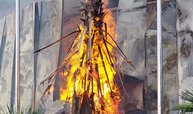 Samsun'da sanayide yangın! Fabrikalar alevlere teslim oldu
