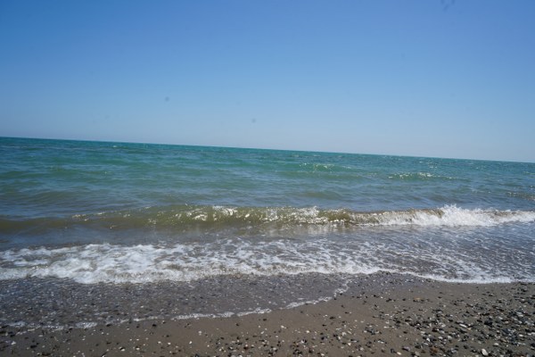 Profesör denizde RİP akıntısında hayatta kalmanın formülünü açıkladı