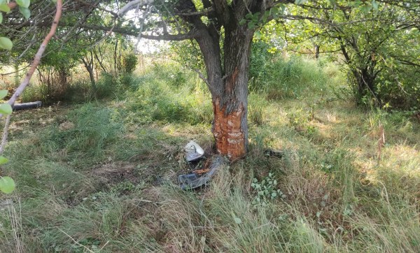 Samsun'da otomobil ağaca çarptı