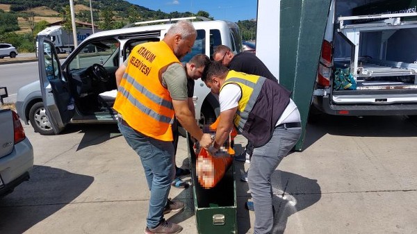 Rize'den İstanbul'a giderken ecel Samsun'da yakaladı