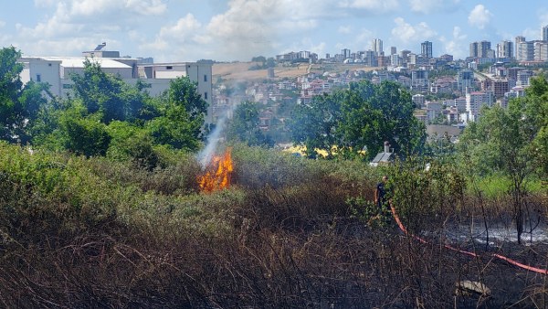 Samsun'da boş arazide yangın çıktı
