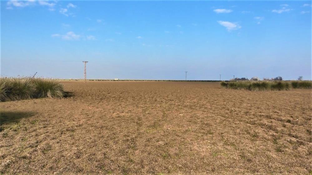 Samsun’da ‘şiddetli kuraklık’