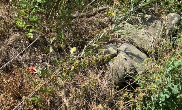 Samsun’da 67 şehidin mezarları neredeyse görünmez halde