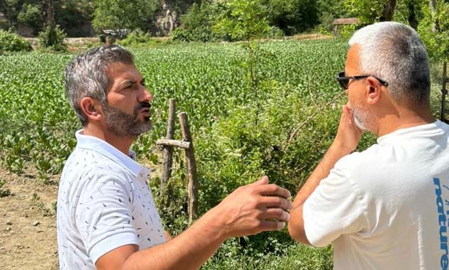 Samsun’da 67 şehidin mezarları neredeyse görünmez halde