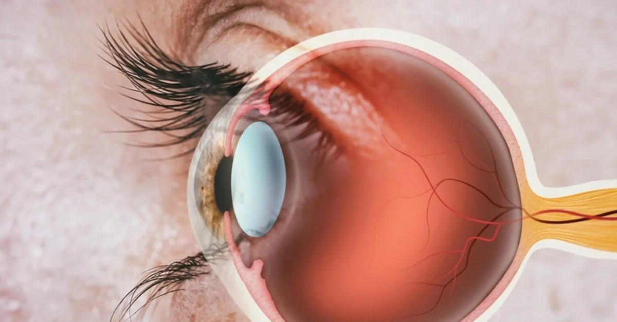 Gözler yalan sözlemez! Uzmanlar retinadan ne kadar yaşayacağınızı ortaya çıkardı