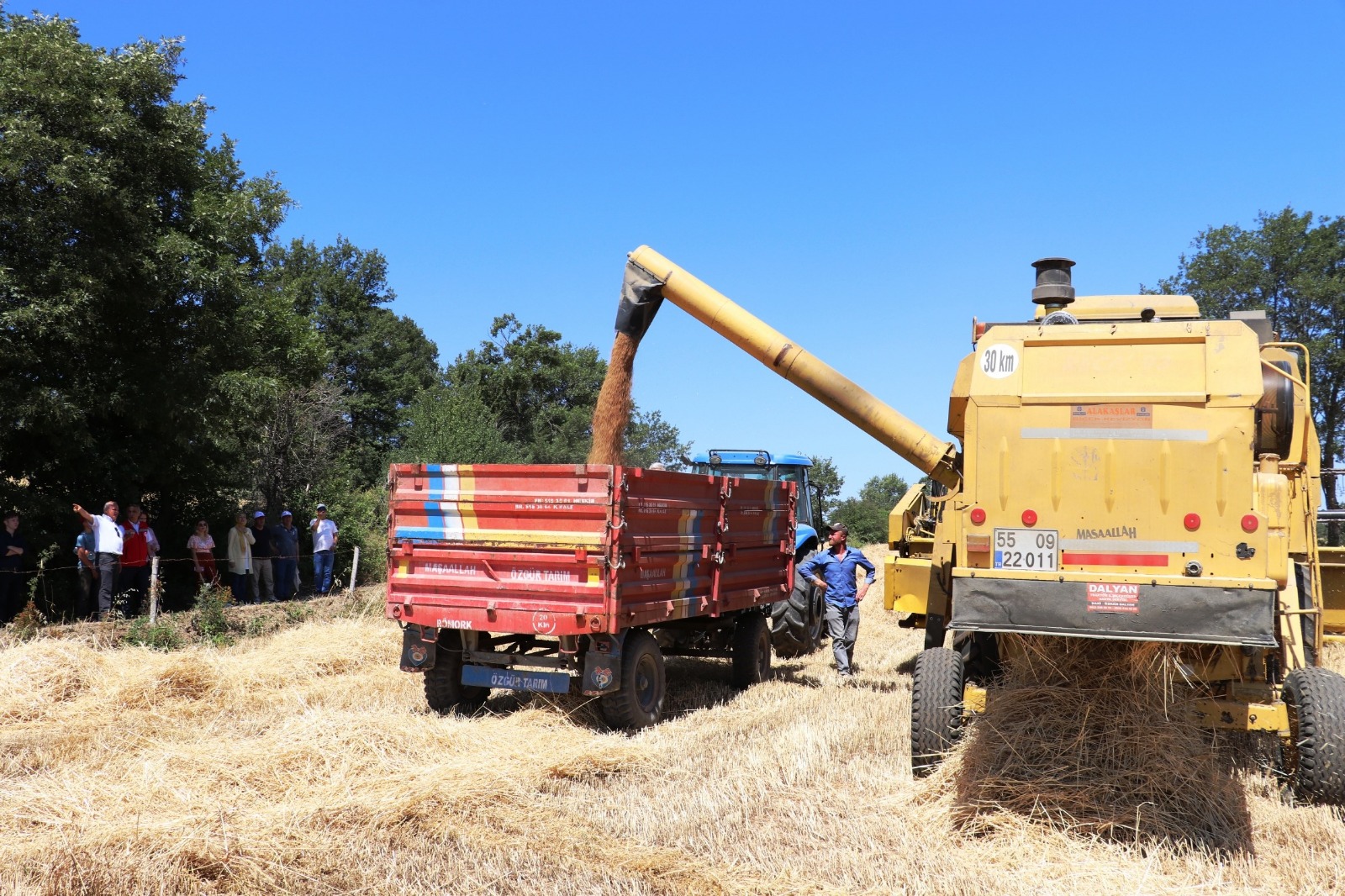 Samsun’da kuraklığa rağmen rekolte artışı