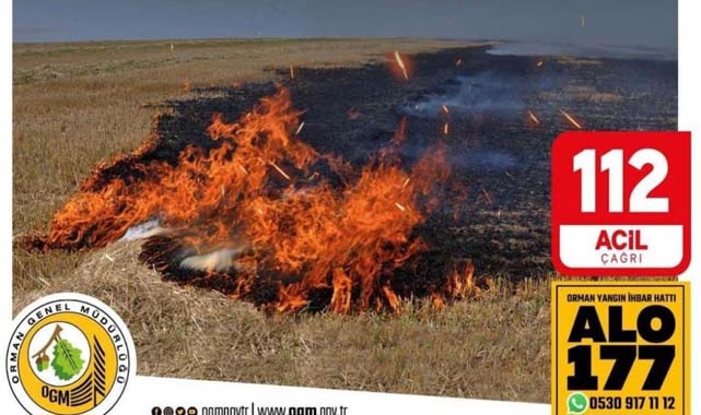 Samsun'da anız yakanlara ceza