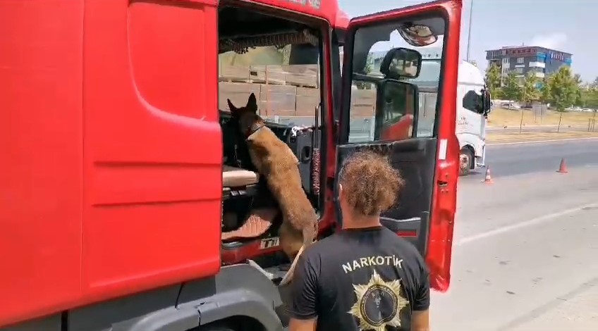 Samsun'da narkotik köpeği çeşit çeşit uyuşturucu buldu