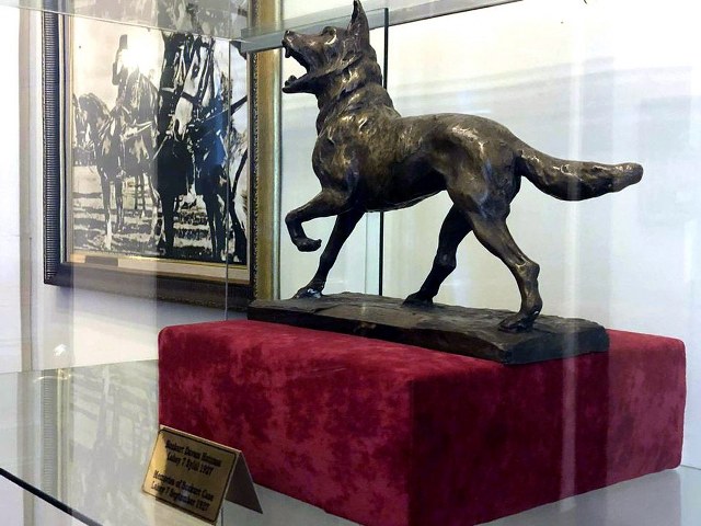 Samsun Gazi Müzesinde sergilenen Bozkurt heykelinin bilinmeyen hikayesi