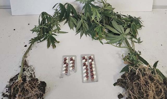 Samsun’da uyuşturucu baskınında 14 gözaltı