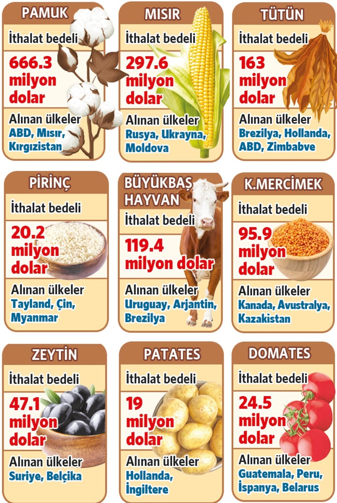 Patatesi, soğanı yurt dışından alıyoruz!
