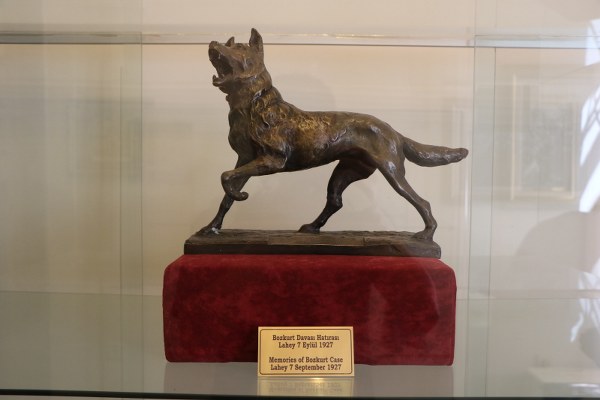 Merih Demiral’a ceza sonrası Samsun'da bozkurt heykeline büyük ilgi