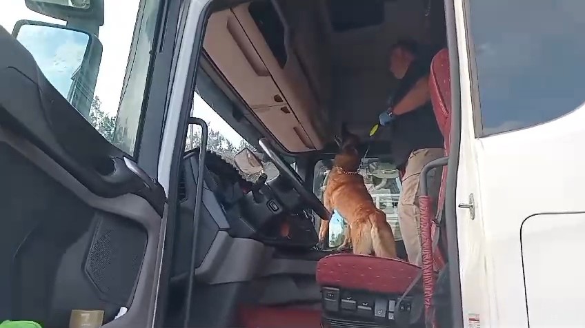 Samsun'da narkotik köpeği 'Sam' uyuşturucuya geçit vermiyor