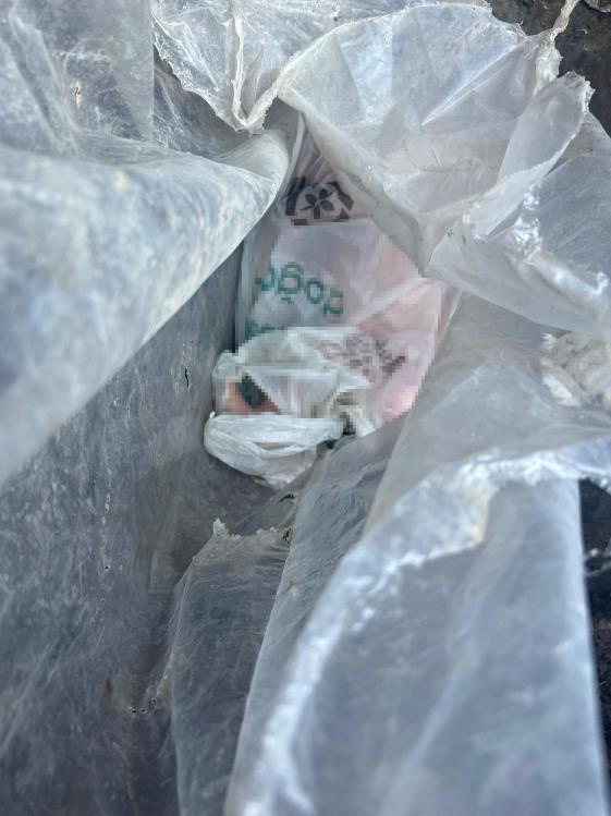 İstanbul'da yeni doğmuş bebeği çöpe attılar