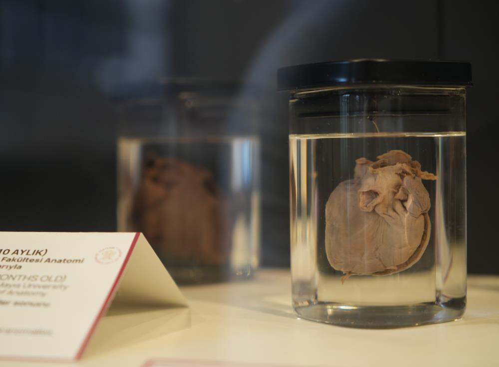 Türkiye'nin 150 yıllık tıp tarihi Samsun'da