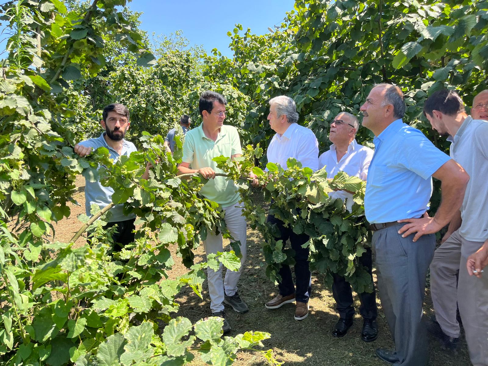 Murat Çan: İktidar, fındık üreticisini kaderine terk etti