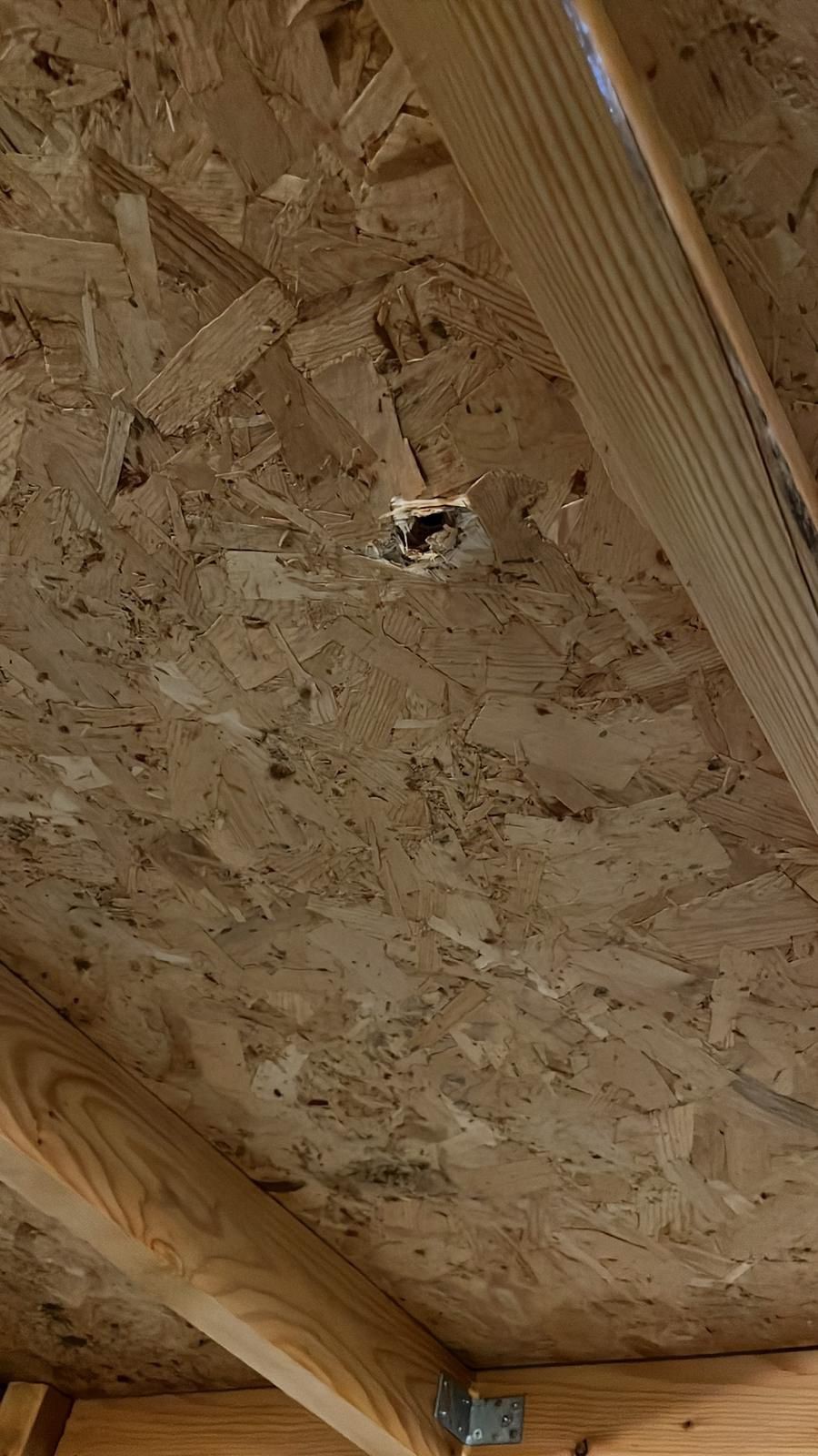 Ankara'da bir çift uyuyan bebeklerinin yatağına bakınca dehşete düştü