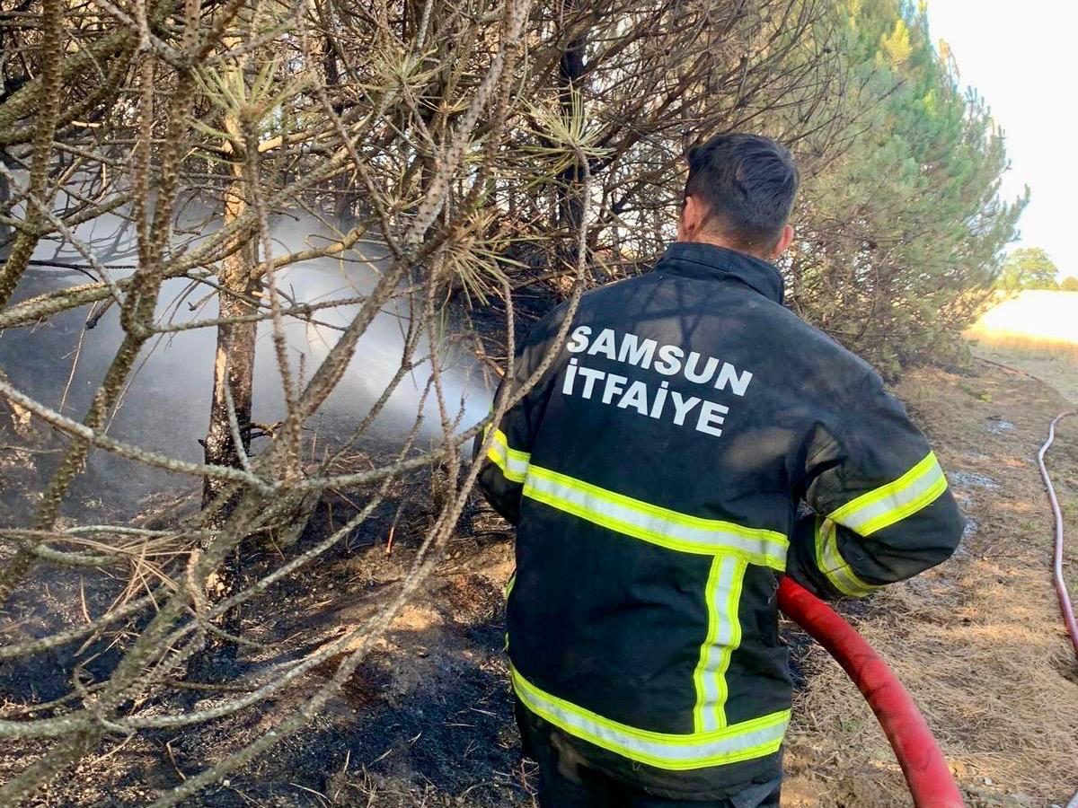 Samsun'da 6 ayda 371 anız yangınını kontrol altına alındı