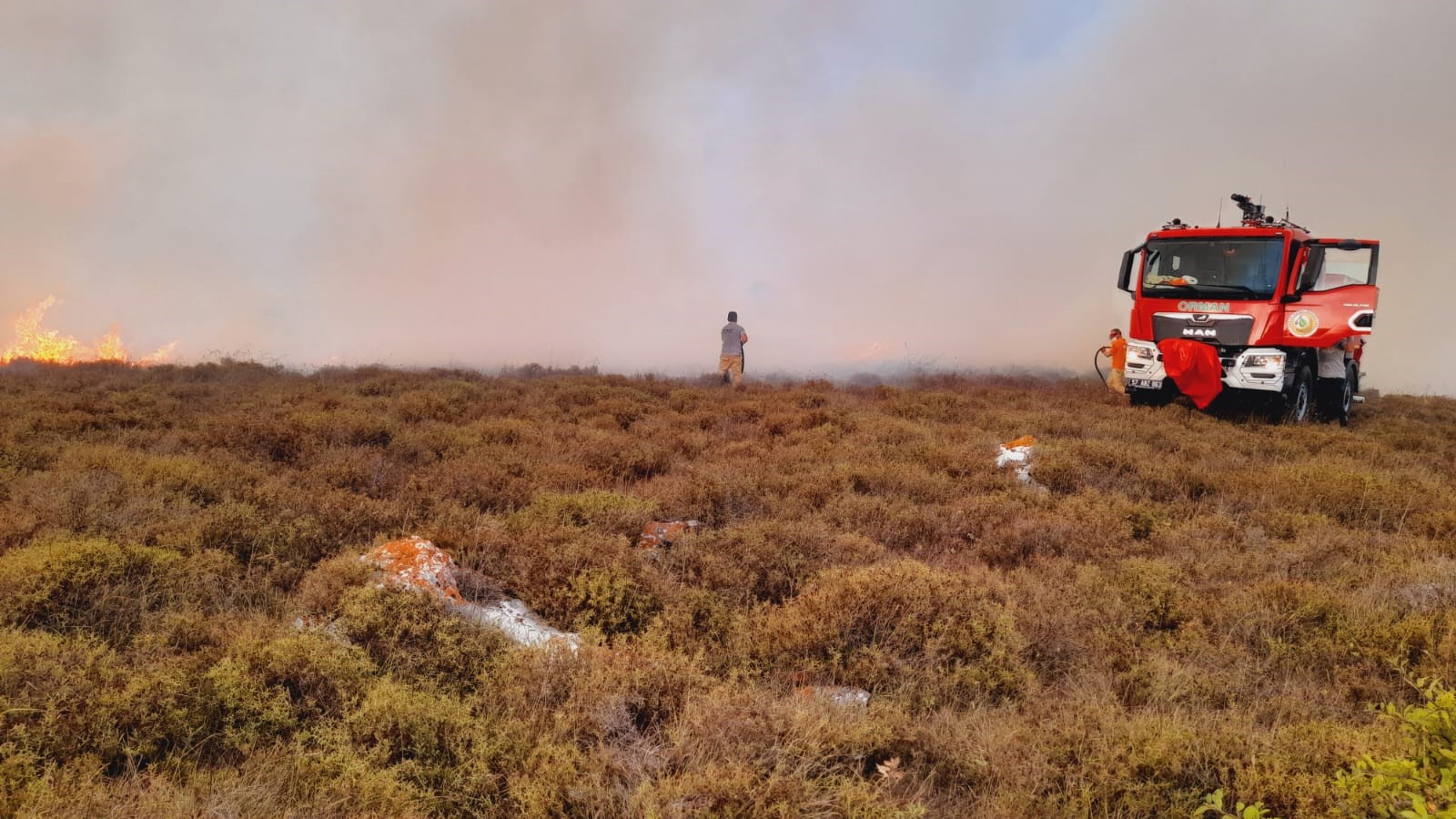 Sinop'ta çıkan yangın rüzgarın etkisiyle hızla yayıldı
