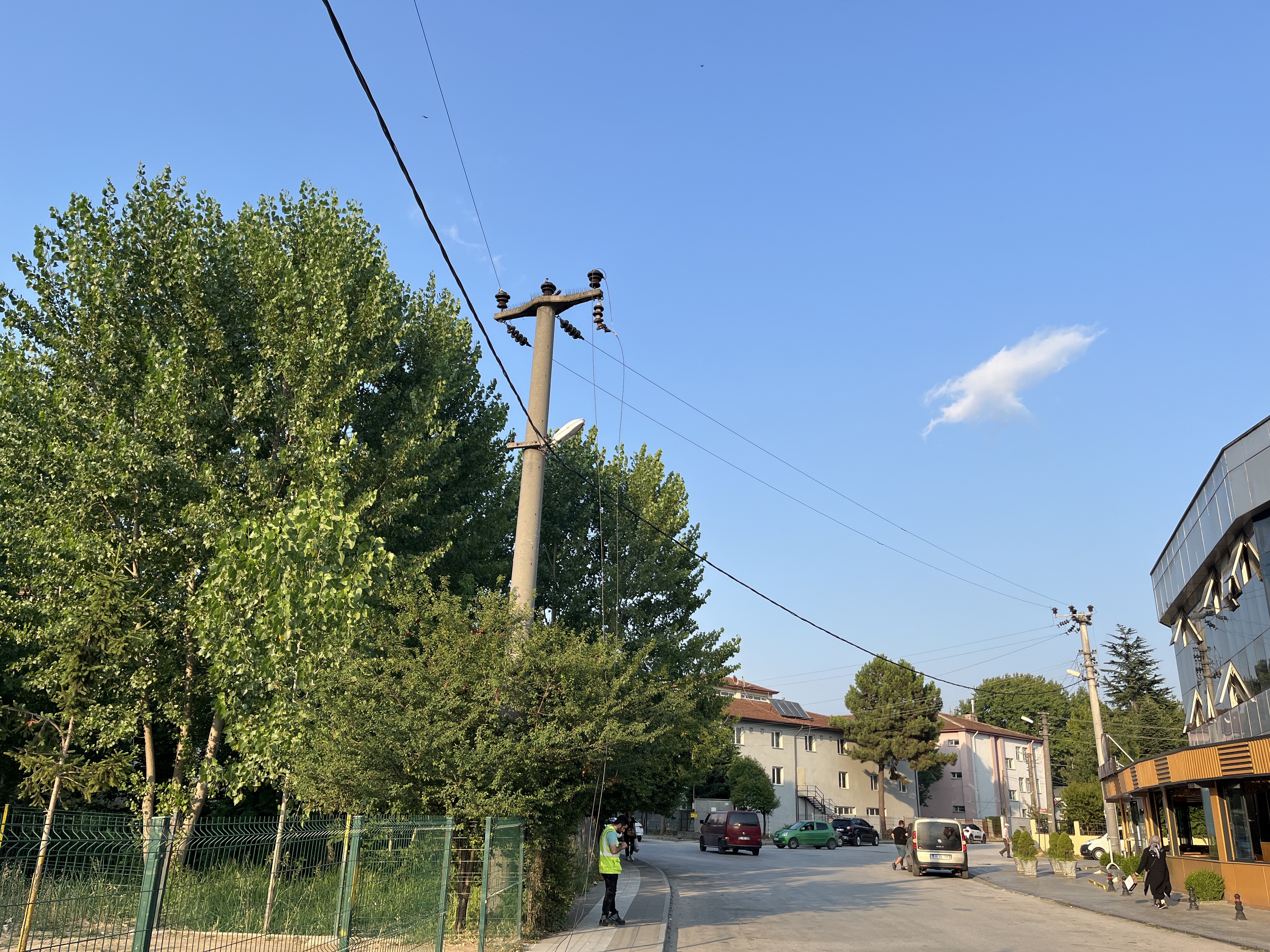  Düzce’de kuşlar bir mahalleyi elektriksiz bıraktı