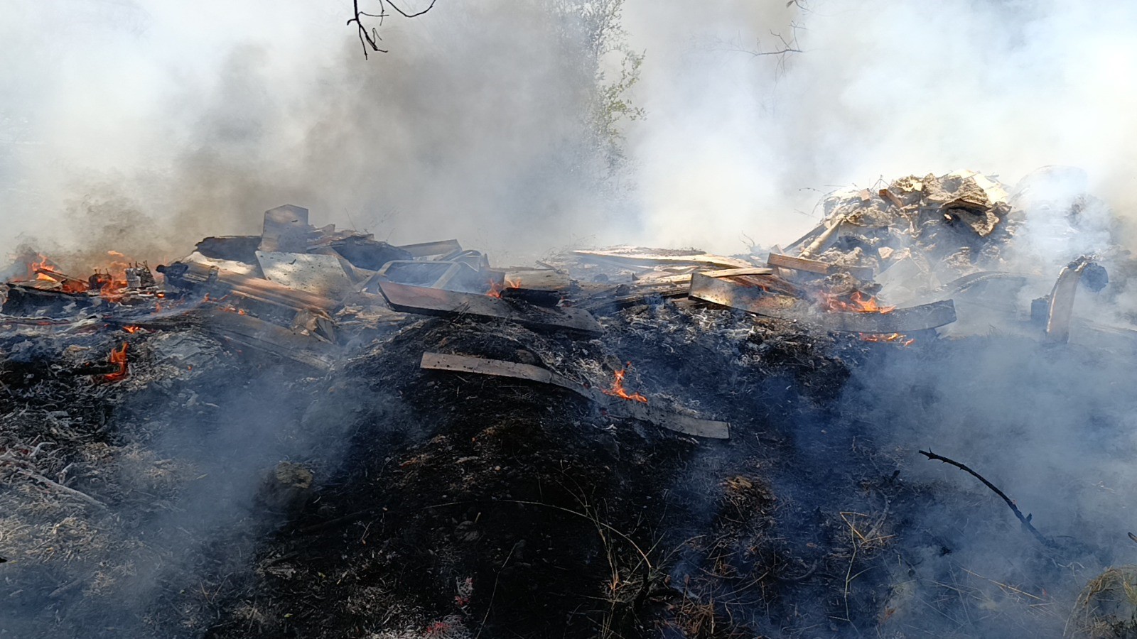 Antalya'nın Manavgat ilçesinde ormana dökülen çöp ve molozlar yangına sebep oldu
