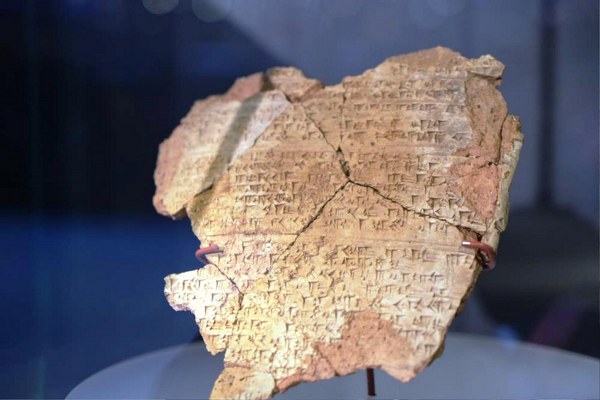 Vezirköprü'de 3 bin yıllık fındık bulundu