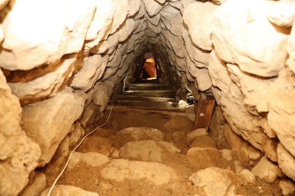 Vezirköprü'de 3 bin yıllık fındık bulundu