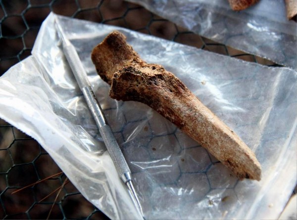 Vezirköprü'de 3 bin yıllık fındık bulundu