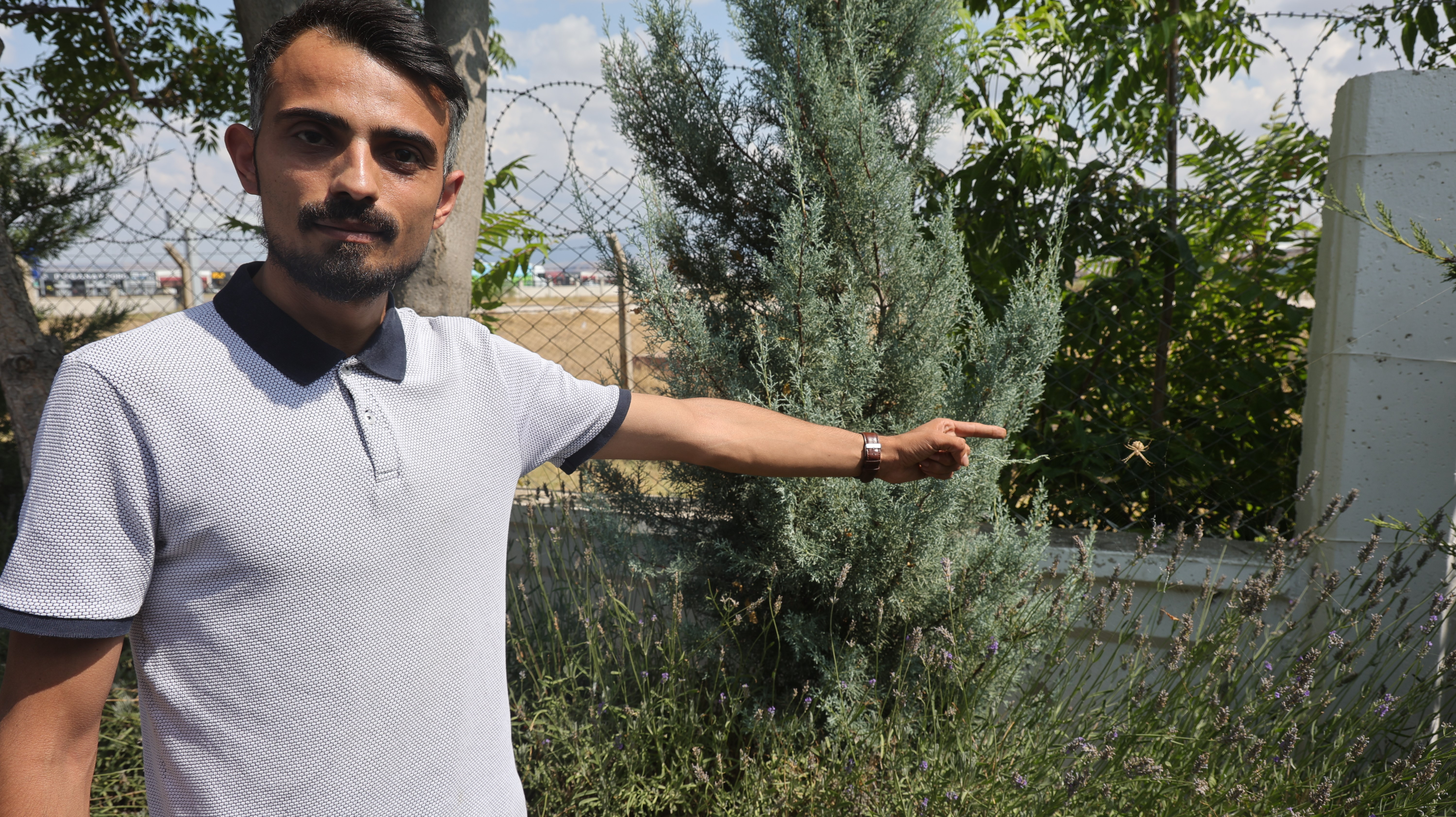 Aksaray'da dünyanın en zehirli örümceklerinden biri olan loplu örümcek görüldü