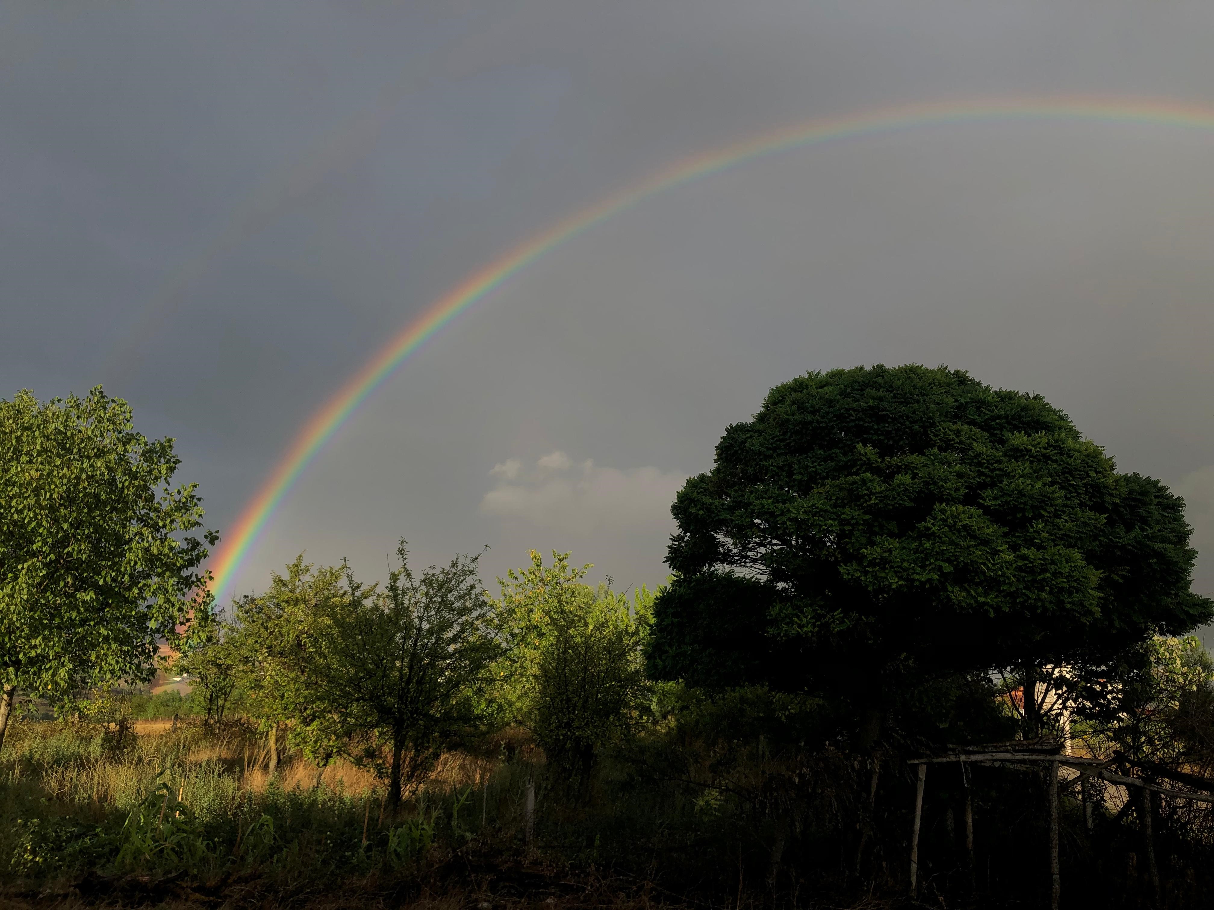 Samsun'un Kavak ilçesinde yağmurun ardından çıkan gökkuşağı mest etti