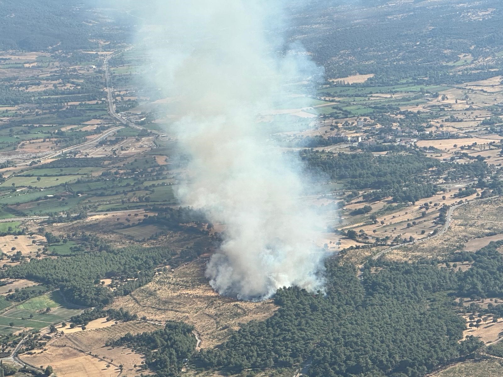 Çanakkale'nin Ayvacık ilçesinde çıkan orman yangını rüzgarın etkisiyle büyüdü