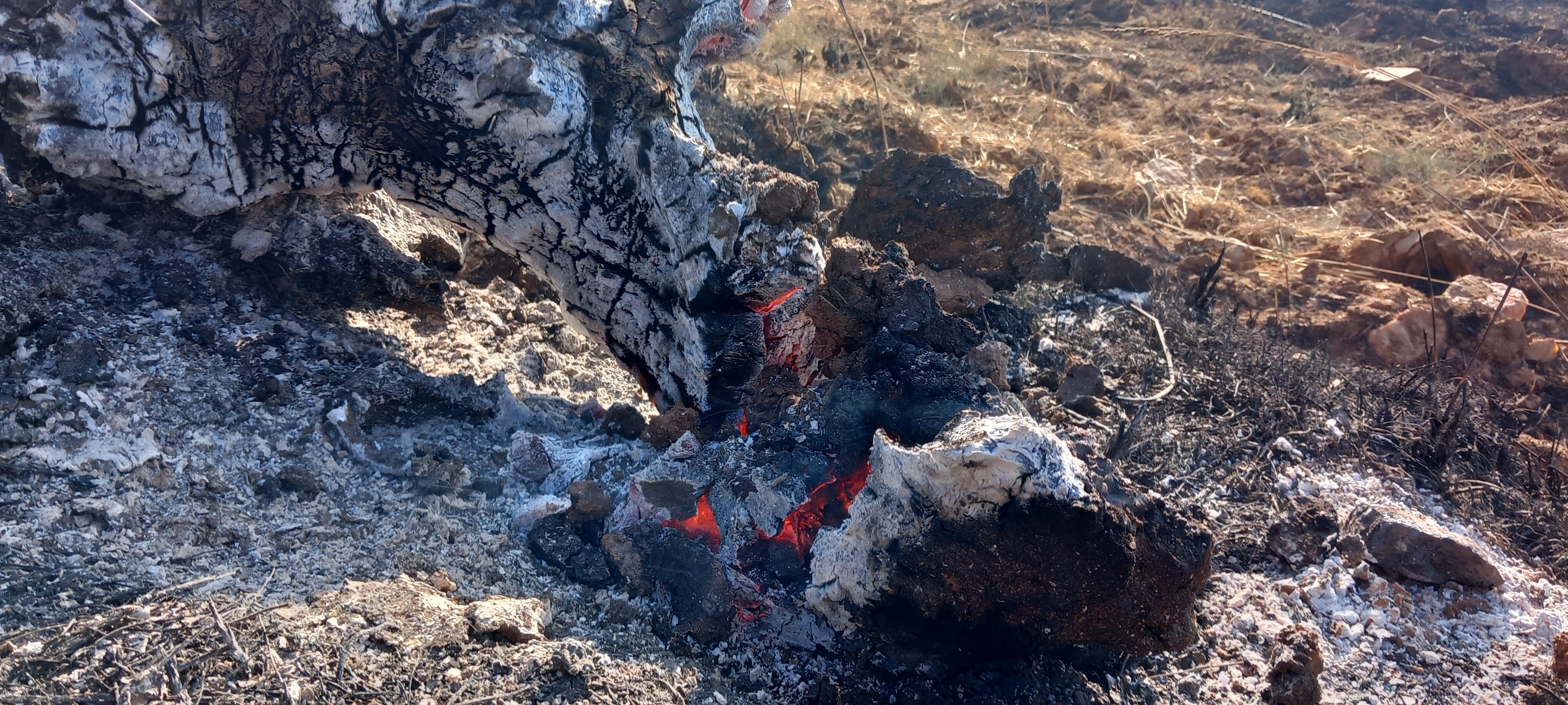 Manisa'nın Salihli ilçesinde çıkan yangın 5. saatte kontrol altına alındı