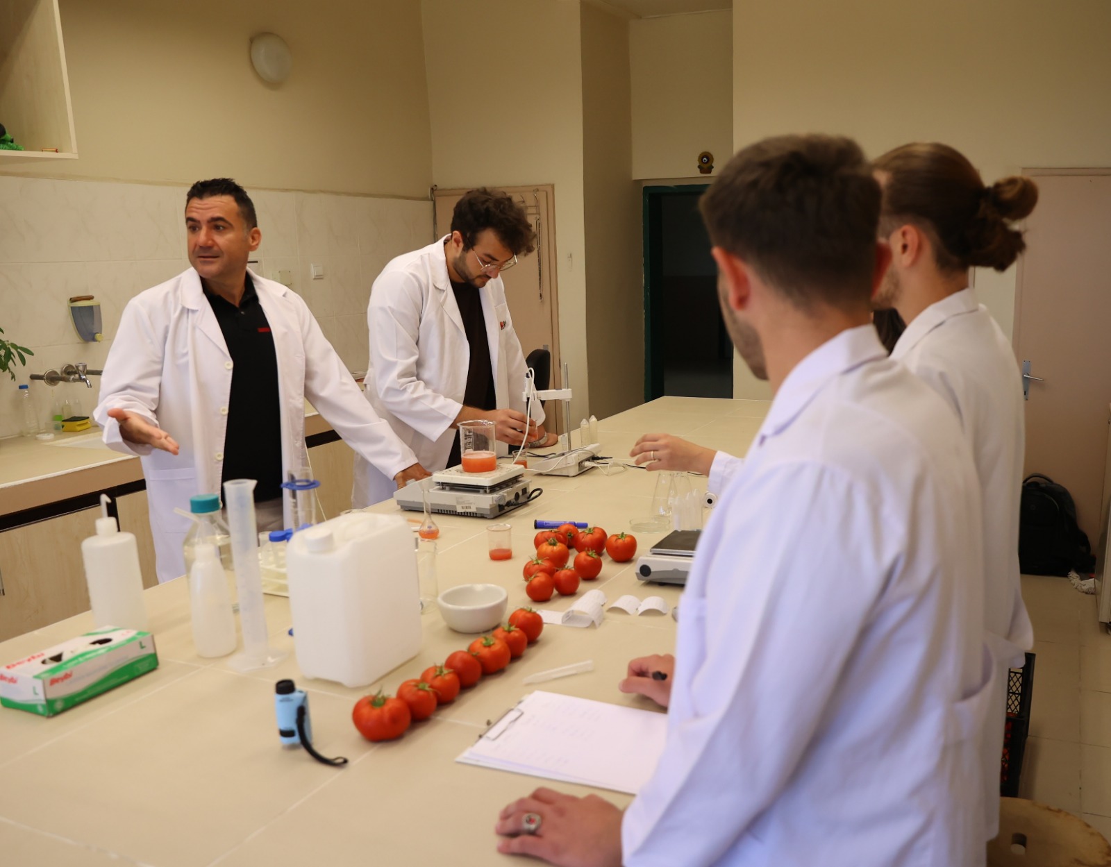 OMÜ'nün çevre dostu projesi ile hamsi gübresinden domates