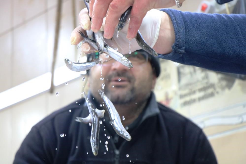 Hamsiye de kota geldi! İstenilen kadar avlanamayacak