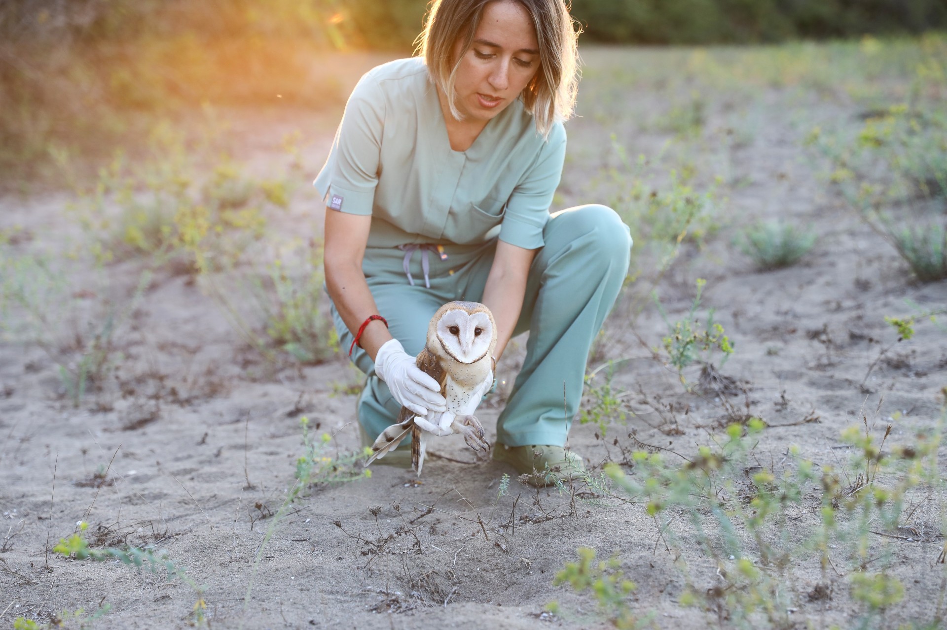 Samsun'da tedavi edilen baykuşlar yeniden doğaya kavuştu