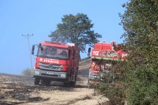 Samsun'da anız yangını 150 dekar alan kül oldu