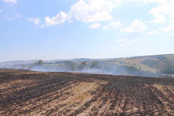 Samsun'da anız yangını 150 dekar alan kül oldu