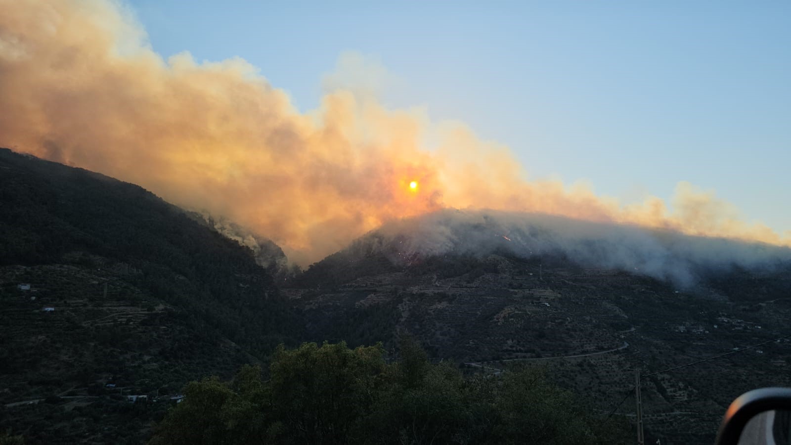 Aydın'da orman yangını kontrol altına alınamıyor