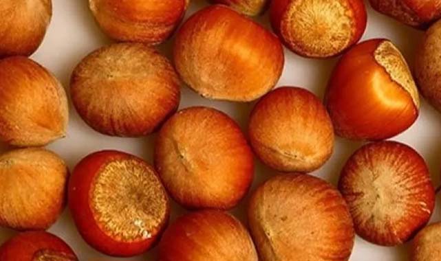 Fiskobirlik fındık alım fiyatlarını açıkladı