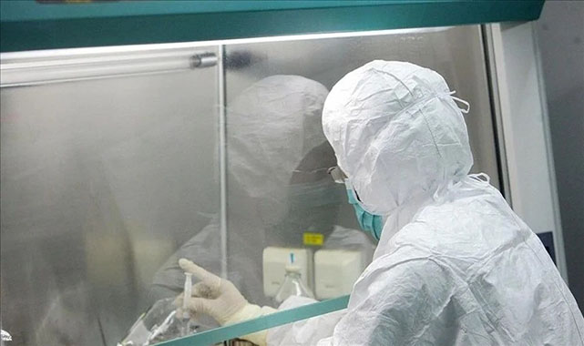 Maymun çiçeği yüzünden kapanma gelecek mi? Ölüm oranı nedir? DSÖ’den aşı önerisi