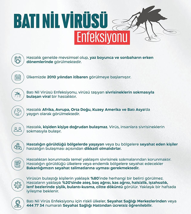 Samsun'da Batı Nil virüsü uyarısı! Samsun'da görüldü mü? Nasıl bulaşır? Belirtileri nelerdir?