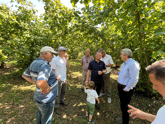 Fındıkta şok iddia! 60 liraya kadar düştü