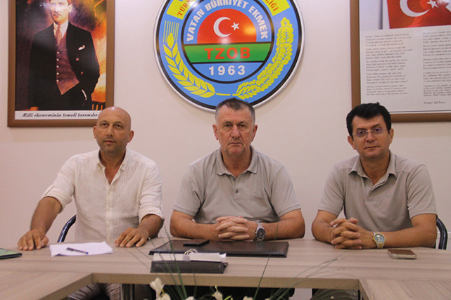 Kahverengi kokarca belası Samsun’u vurdu