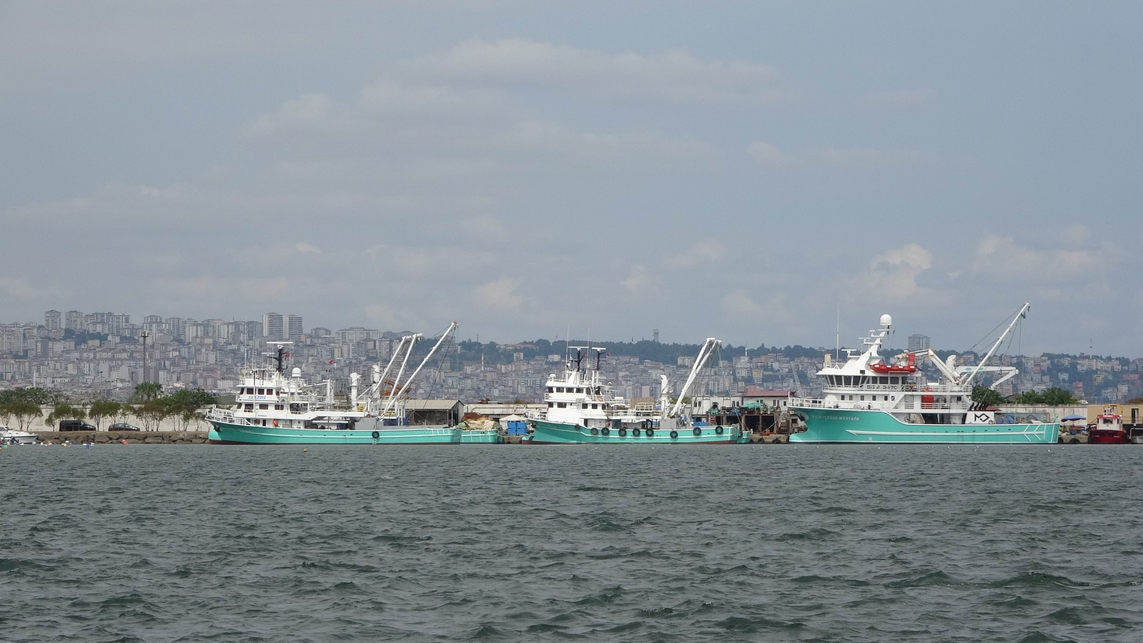 Samsun'da hamsi kotası balıkçıları zorlayacak!