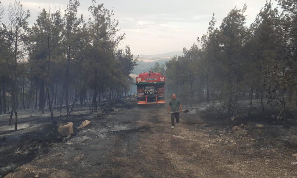 Samsun'da orman yangını: 50 dönüm alan kül oldu
