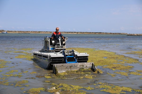 Samsun'da beklenen temizlik Kurupelit Yat Limanı'nda yosun temizliği başladı