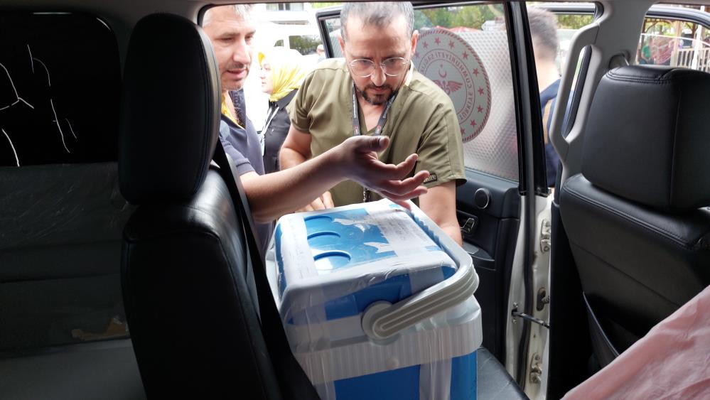 Samsun'da tır faciasında ölen Esmanur Arslan'ın organları 5 kişiye umut oldu