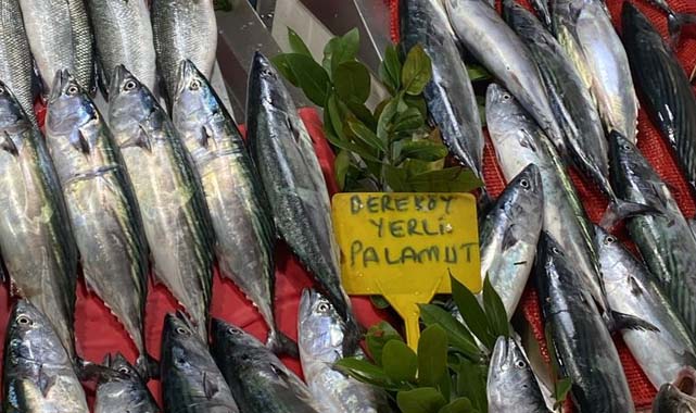 Samsun'da balık tezgahları doldu
