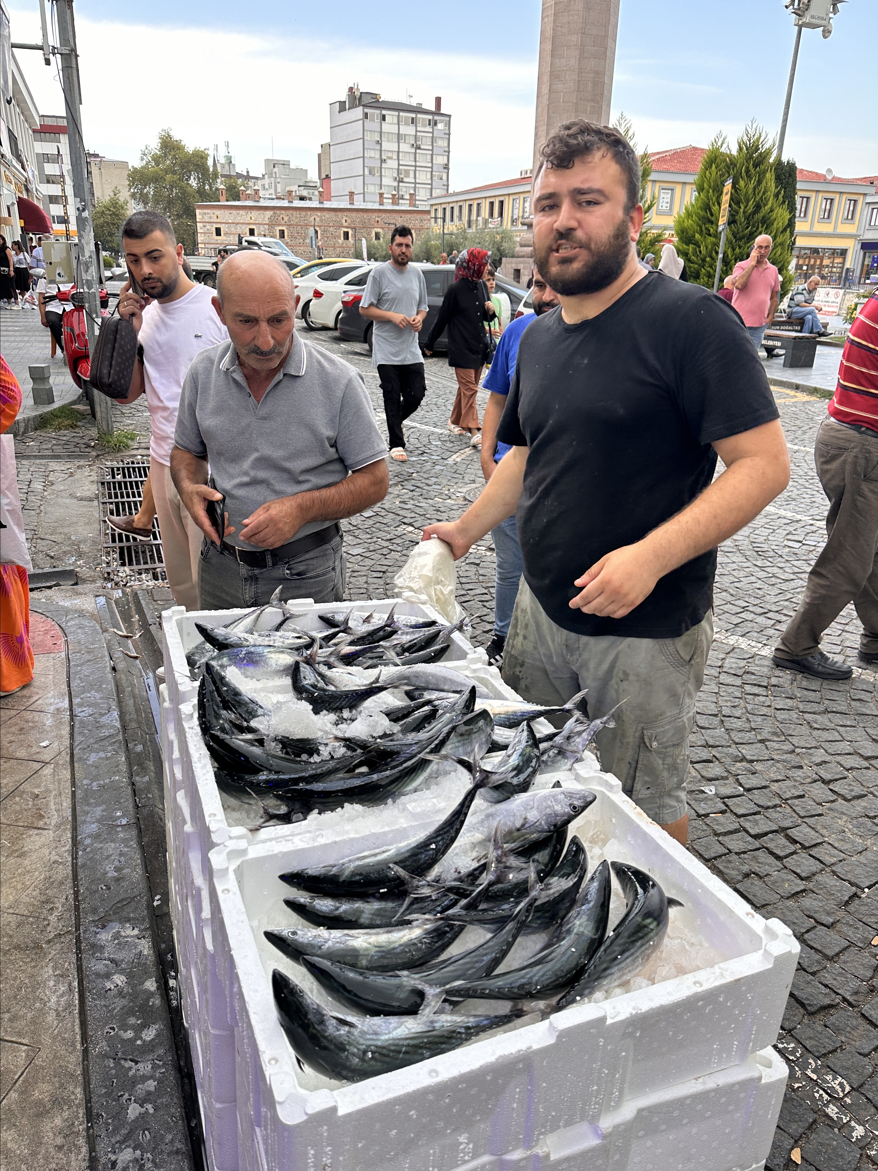 Samsun'da hamsinin kilosu 200 TL, palamudun tanesi 50 TL