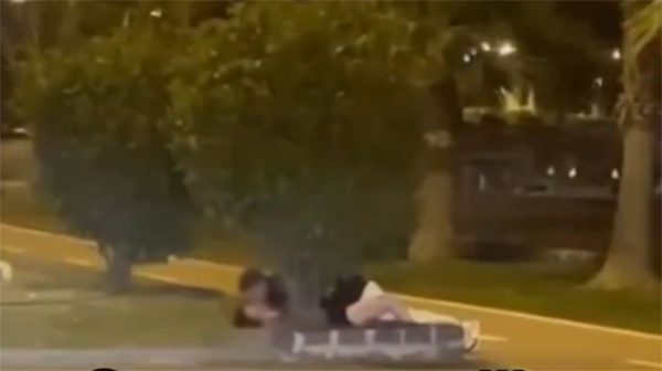 Samsun'da skandal! Çimler üstünde ilişkiye girdiler